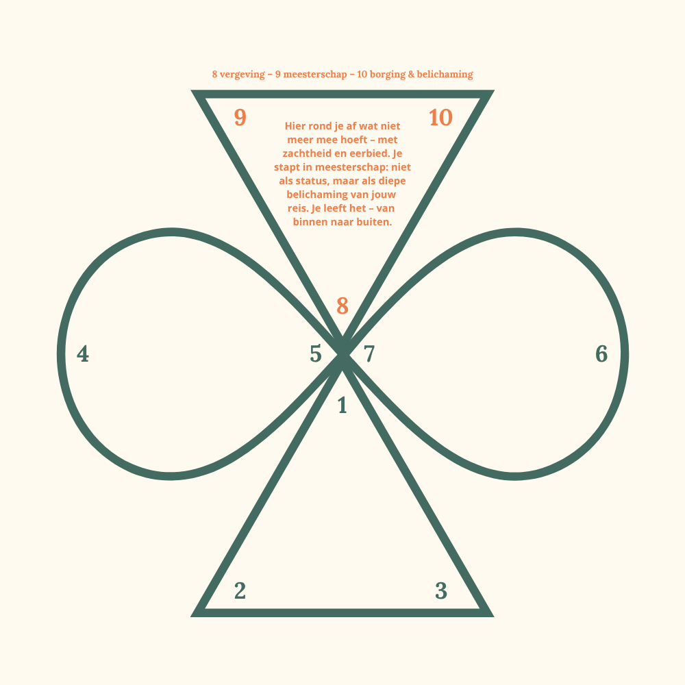 Transitiemodel Meraki Coaching & More D